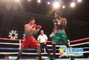 2015世界拳擊聯賽三亞落幕 中國龍不敵墨西哥勇士，拳擊賽事組織迎發展契機